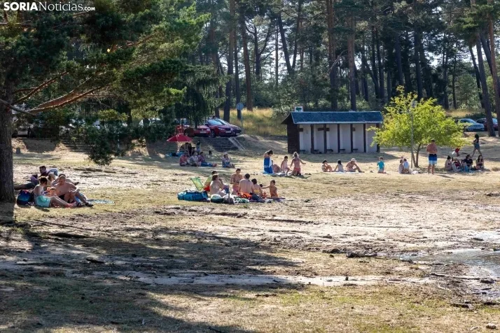 Verano en el pantano 2025./ Viksar Fotografía