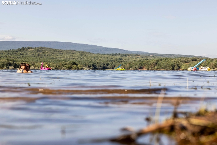 Verano en el pantano 2025./ Viksar Fotografía