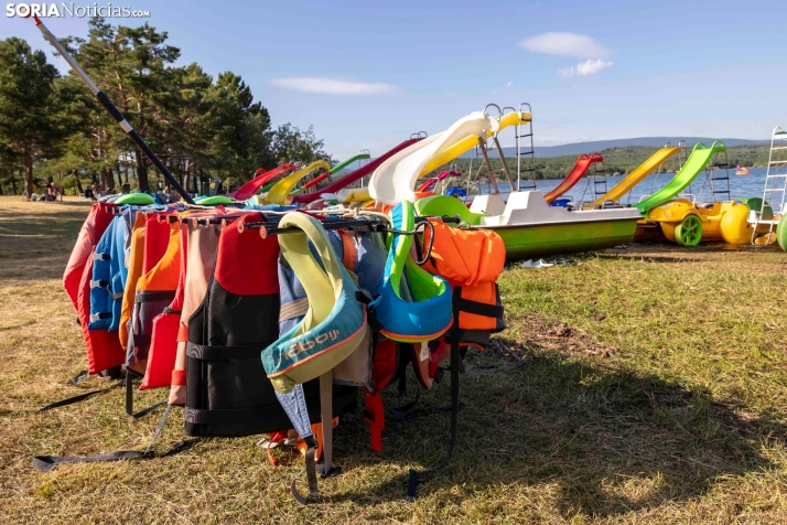Verano en el pantano 2025./ Viksar Fotografía