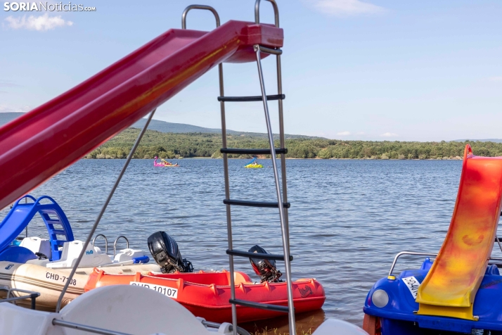 Verano en el pantano 2025./ Viksar Fotografía