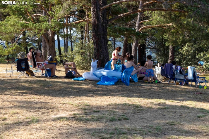 Verano en el pantano 2025./ Viksar Fotografía