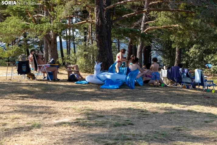 Verano en el pantano 2025./ Viksar Fotografía