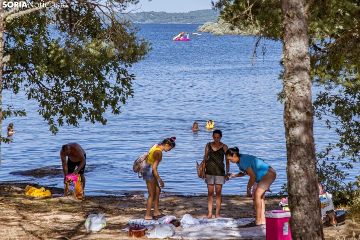 Verano en el pantano 2025./ Viksar Fotografía