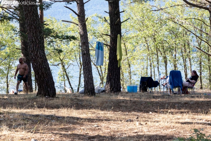 Verano en el pantano 2025./ Viksar Fotografía