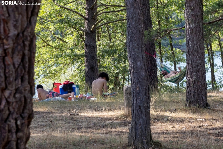 Verano en el pantano 2025./ Viksar Fotografía