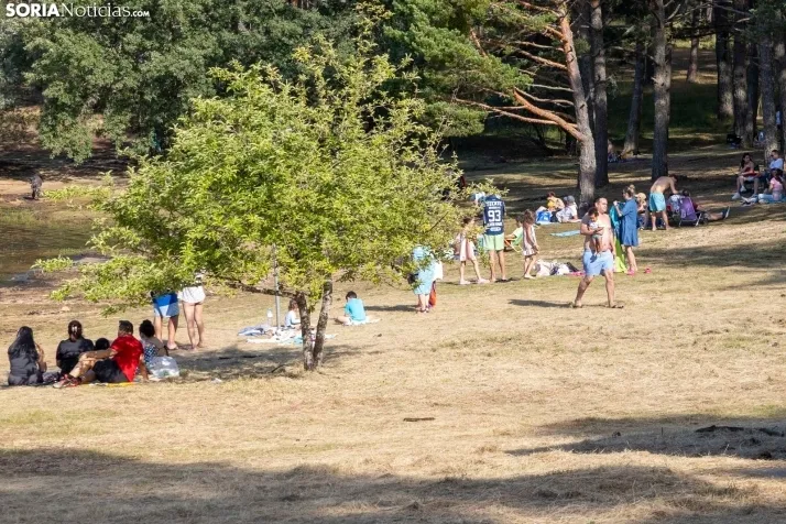 Verano en el pantano 2025./ Viksar Fotografía
