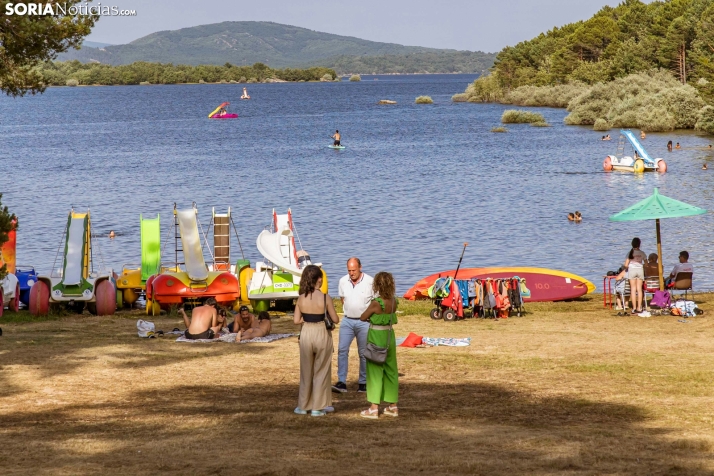 Verano en el pantano 2025./ Viksar Fotografía