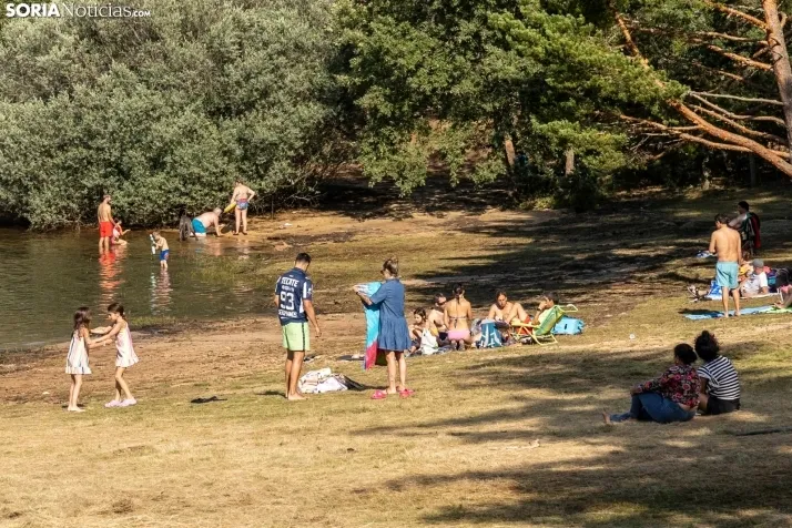 Verano en el pantano 2025./ Viksar Fotografía