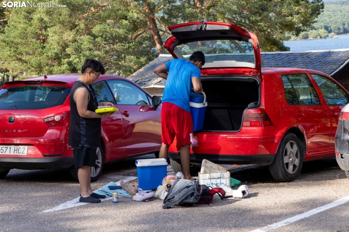 Verano en el pantano 2025./ Viksar Fotografía