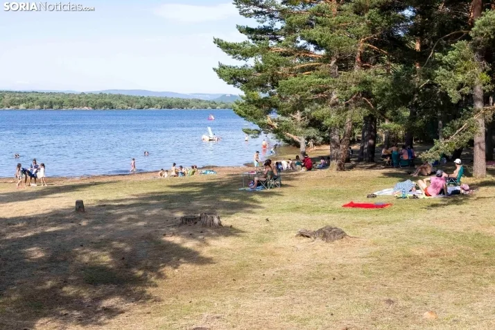 Verano en el pantano 2025./ Viksar Fotografía
