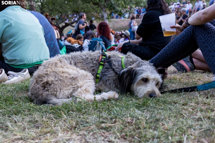 Cierre de Enclave de Agua 2025./ Viksar Fotografía