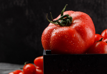 Fiestas de Aguaviva de la Vega 2025: programa completo