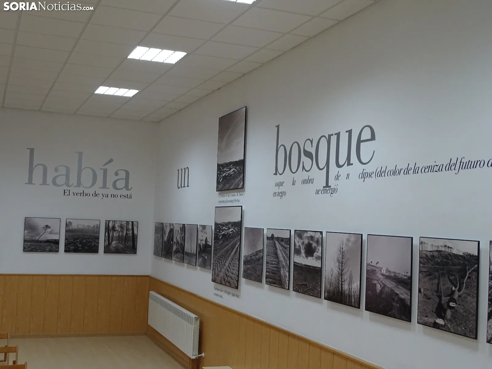 Foto 2 - Cr&oacute;nica y fotos | Tardelcuende o el recuerdo con olor a quemado