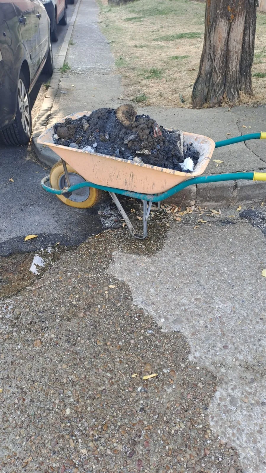 Restos extraídos del alcantarillado municipal por una empresa privada y Christopher Bravo. Imágenes cedidas por Christopher Bravo.