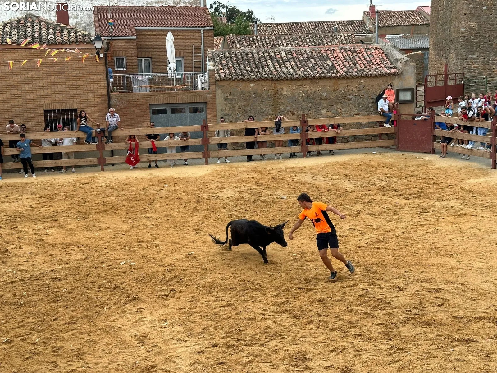 Foto 2 - Valor y destreza en Noviercas: los recortadores triunfan en una tarde de gran riesgo