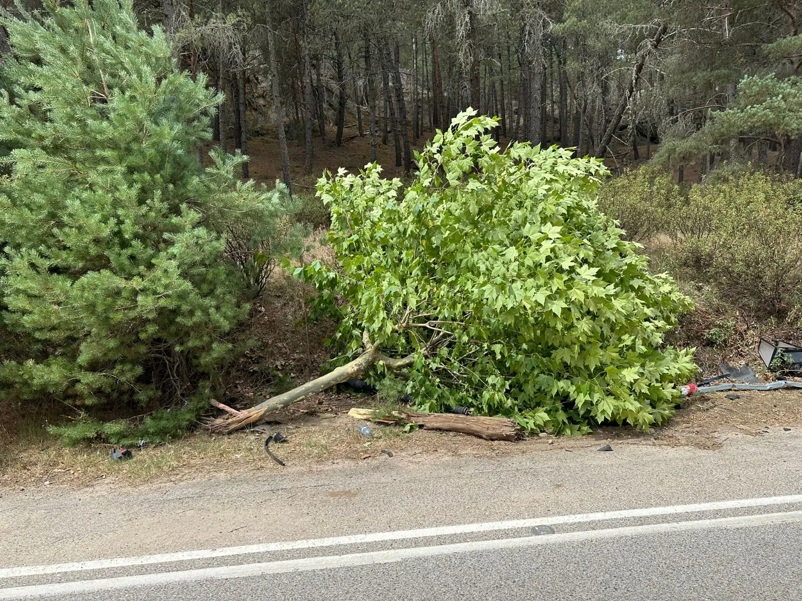 Foto 2 - Estrepitoso accidente vial en San Leonardo de Yag&uuml;e
