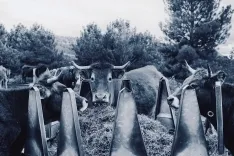 Foto 4 - 'Aquellos d&iacute;as de verano', la exposici&oacute;n que rescata la identidad rural soriana