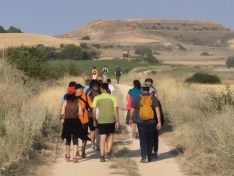 Una imagen de la jornada /VVAA