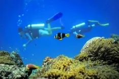Foto 7 - En las profundidades del oc&eacute;ano
