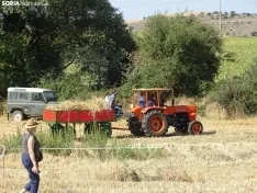 Una imagen de esta mañana en Nepas. /PC