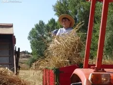 Una imagen de esta mañana en Nepas. /PC