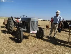Una imagen de esta mañana en Nepas. /PC