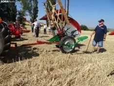 Una imagen de esta mañana en Nepas. /PC