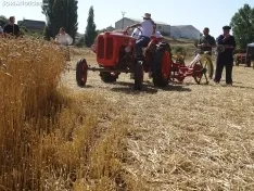 Una imagen de esta mañana en Nepas. /PC