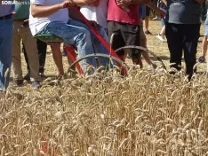 Una imagen de esta mañana en Nepas. /PC