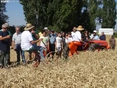Una imagen de esta mañana en Nepas. /PC