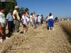 Una imagen de esta mañana en Nepas. /PC