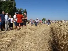 Una imagen de esta mañana en Nepas. /PC