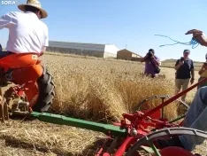 Una imagen de esta mañana en Nepas. /PC
