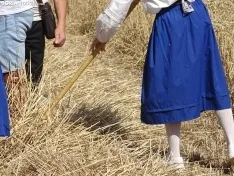 Una imagen de esta mañana en Nepas. /PC