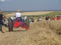 Una imagen de esta mañana en Nepas. /PC