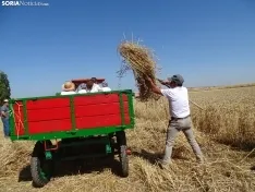 Una imagen de esta mañana en Nepas. /PC