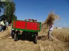 Una imagen de esta mañana en Nepas. /PC