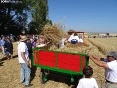 Una imagen de esta mañana en Nepas. /PC