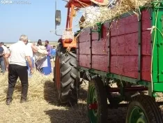 Una imagen de esta mañana en Nepas. /PC