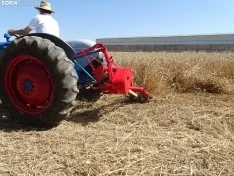 Una imagen de esta mañana en Nepas. /PC