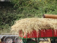 Una imagen de esta mañana en Nepas. /PC