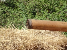 Una imagen de esta mañana en Nepas. /PC