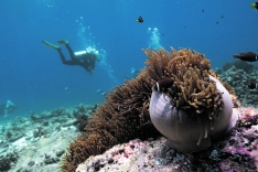 Foto 6 - En las profundidades del océano