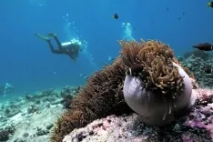 Foto 6 - En las profundidades del oc&eacute;ano