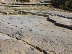 Foto 3 - Dónde ver huellas de dinosaurio en Soria