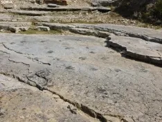 Foto 3 - D&oacute;nde ver huellas de dinosaurio en Soria