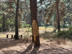 Foto 4 - ¿Qué es la nueva 'Micosenda' de Soria?