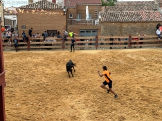Foto 4 - Valor y destreza en Noviercas: los recortadores triunfan en una tarde de gran riesgo
