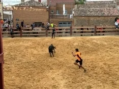 Foto 4 - Valor y destreza en Noviercas: los recortadores triunfan en una tarde de gran riesgo