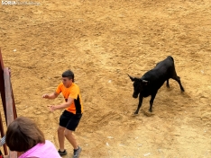 Foto 5 - Valor y destreza en Noviercas: los recortadores triunfan en una tarde de gran riesgo